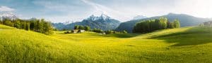 Springtime alpine scenery in the Alps with blossoming meadows