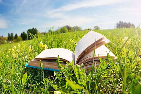 Open book in the grass on the field